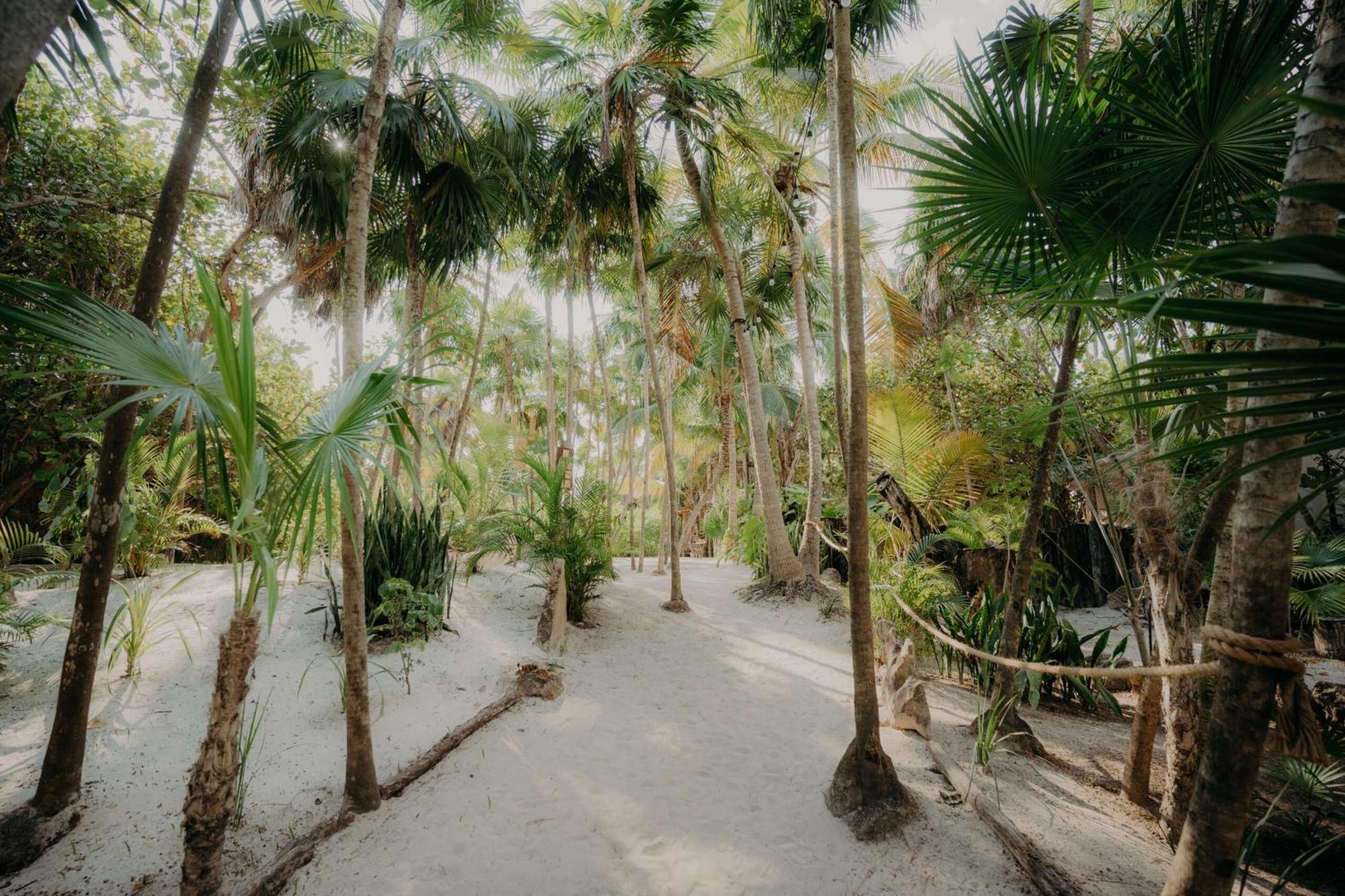 Apartmán Luxury Penthouse With Private Pool In Aldea Zama Tulum Exteriér fotografie
